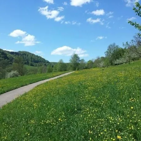 In Mit Eigenem Garten Appartement Bad Ditzenbach