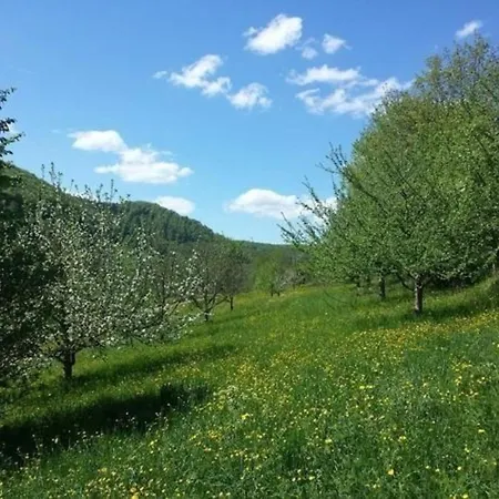 In Mit Eigenem Garten *